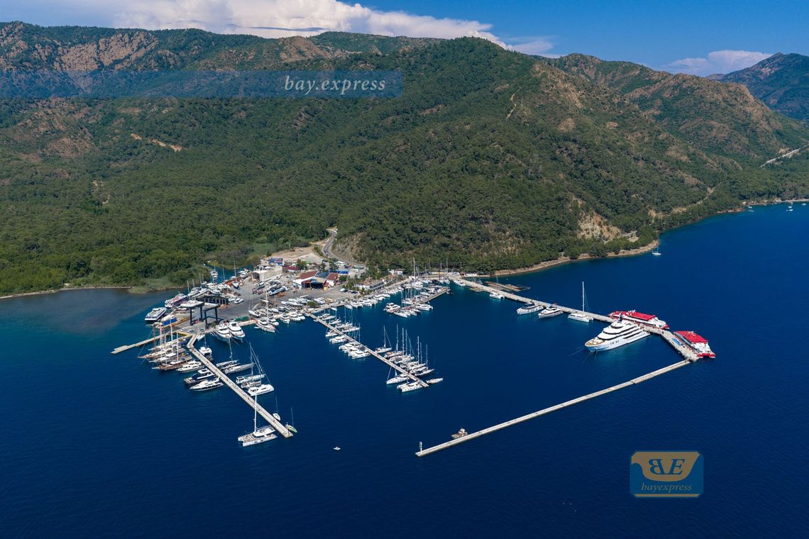 Albatros Marina