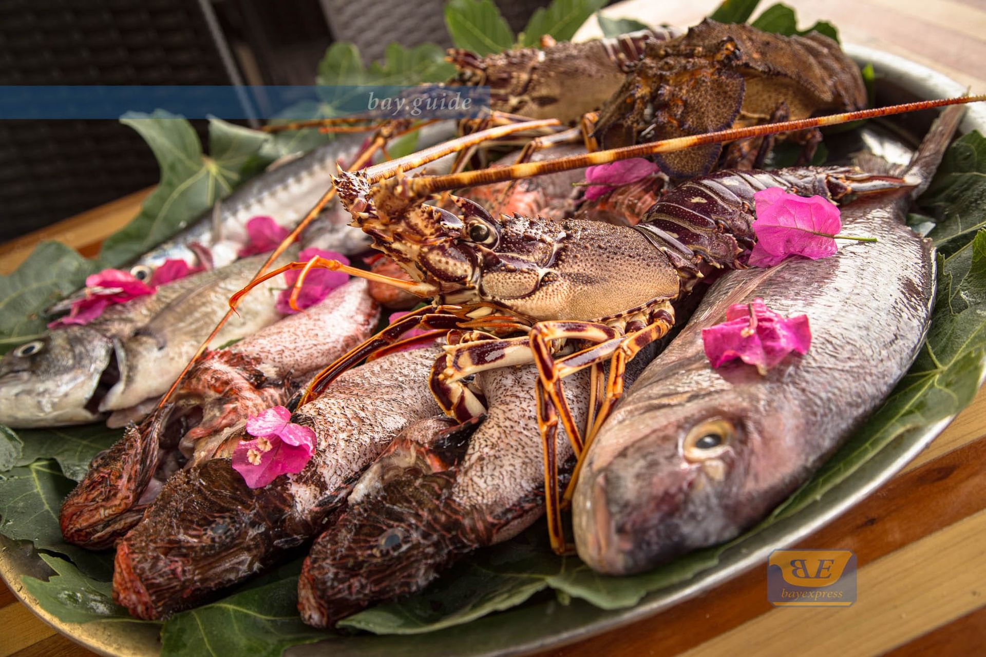 All Restaurants List