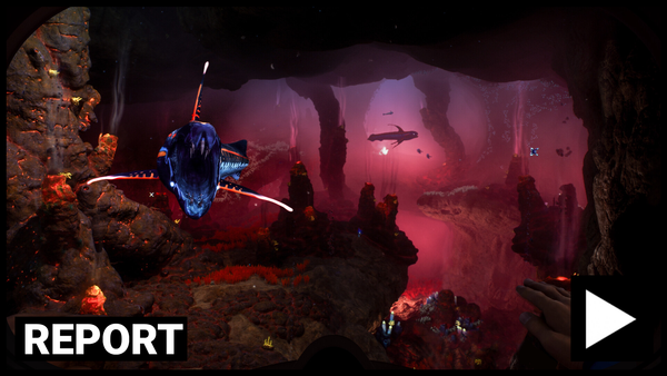 Subnautica’s Bizarre Leadership Shenanigans