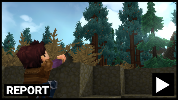 After Nearly A Decade, And Cancellation By Riot, Hytale Arrived