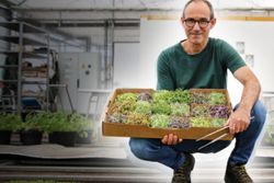 Good Pousse : la ferme urbaine nantaise qui fait de la micro-nutrition un projet de société