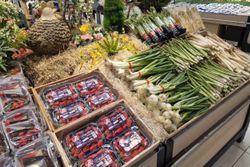 Le mois de mai en F&L : fraise, asperge, tomate… le guide terrain