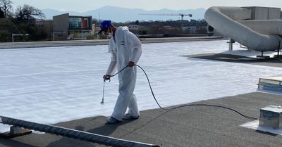 Comment rendre les toits des magasins plus écologiques et économiques