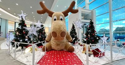 7 idées pour animer les réseaux sociaux de son magasin pour la période des fêtes de fin d'année