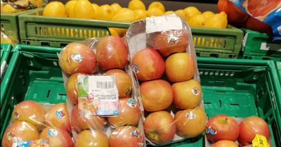 4 pistes clés pour améliorer la loi Garot et lutter (encore plus) contre le gaspillage alimentaire