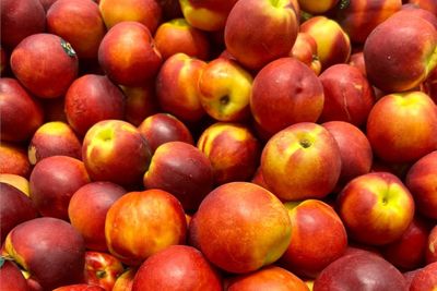 Tout savoir sur la Pêche et la Nectarine : des fruits d’été à forte attractivité, à valoriser avec méthode