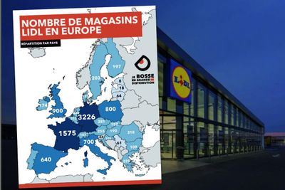 Lidl en Europe : chiffres clés, stratégie et secrets de son succès