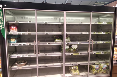 « La pénurie risque de durer » : Pourquoi les salades manquent en rayon (et qu'il faudrait attendre octobre pour un retour à la normale)