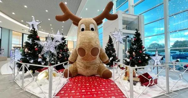 7 idées pour animer les réseaux sociaux de son magasin pour la période des fêtes de fin d'année