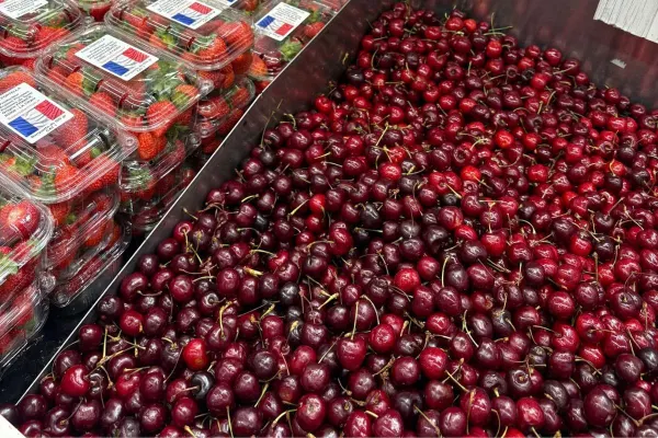 Tout savoir sur la cerise : un incontournable de la saison estivale
