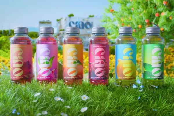 Où acheter le Ciao Kombucha de Squeezie ? Goûts, prix, bienfaits et infos pratiques