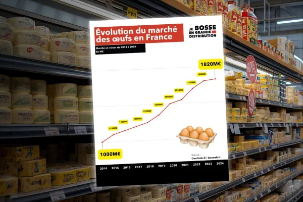 Le marché français des œufs : une révolution silencieuse en dix ans