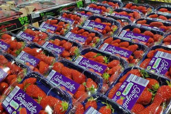 Entre premières fraises françaises et transition de saison, le mois de mars se joue à la précision en rayon