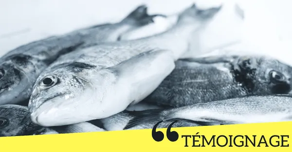 Vincent, 26 ans, un passionné au rayon marée