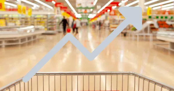 Parts de marchés et Chiffres d'affaires de la Grande Distribution en France