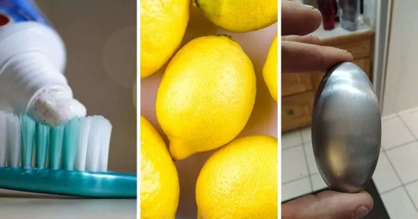 Comment se débarrasser de l’odeur de poisson (conseils par les pros des rayons marée)