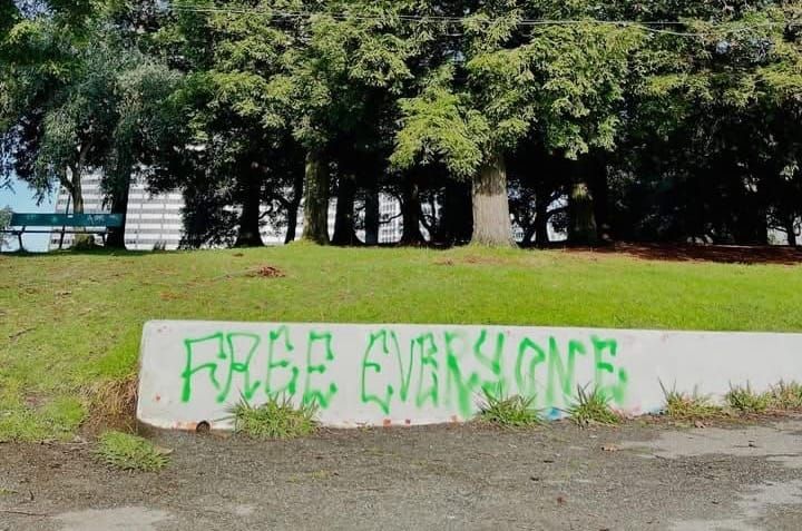 Radical abolitionist