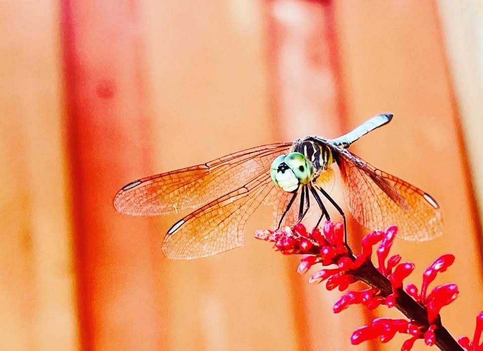 Happy beginning to the calendar year