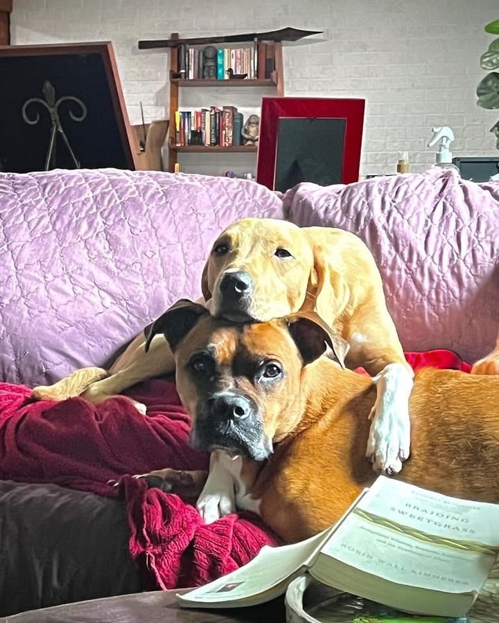 Personal space