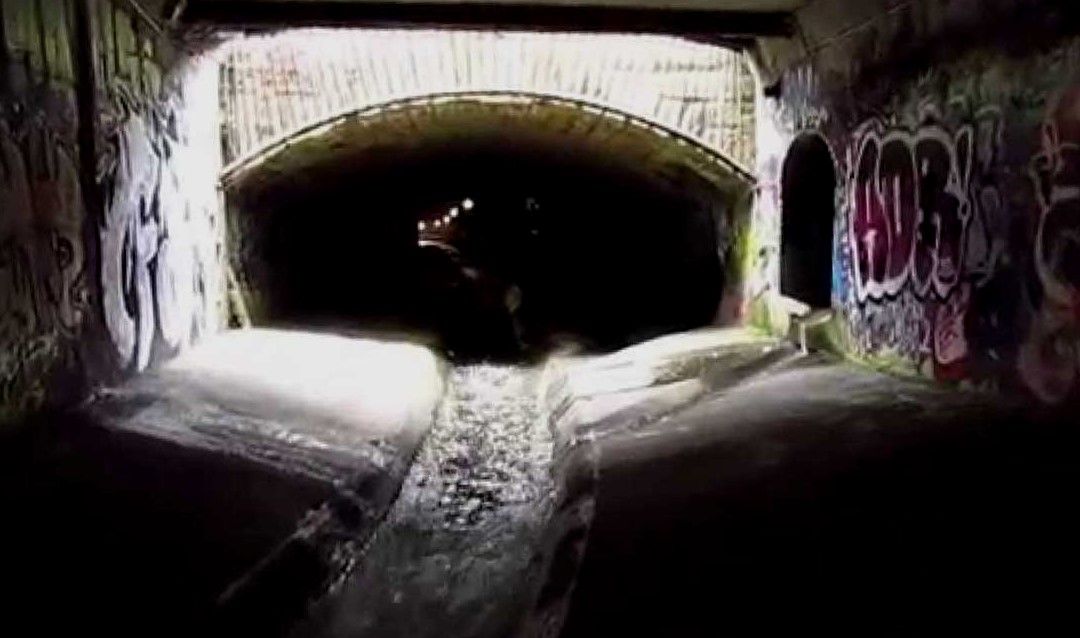 The World Leans In, Sometimes