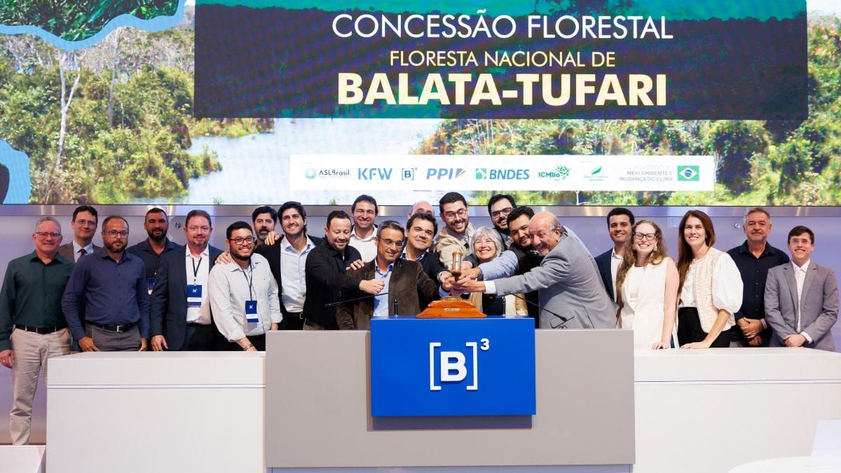 Concessão da Flona Balata-Tufari, no AM, prevê R$ 2 bilhões em investimentos, 1,7 mil empregos e produção de 134 mil m³ de madeira por ano