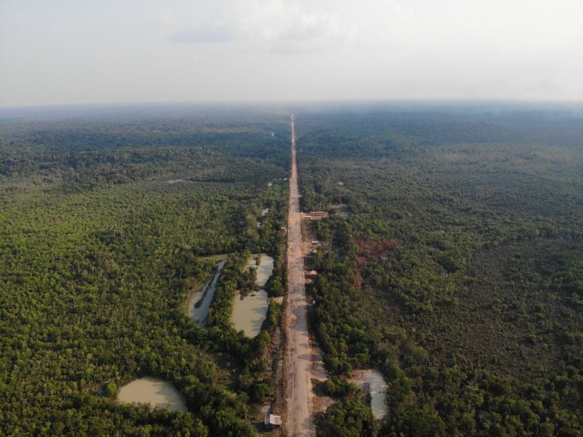 Vista aérea da rodovia BR-319 cortando a floresta amazônica em linha reta, com trechos de terra e vegetação densa ao redor.