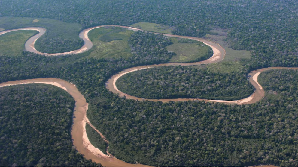 Vista aérea de um rio sinuoso cercado por densa floresta amazônica, com bancos de areia visíveis nas curvas do leito.