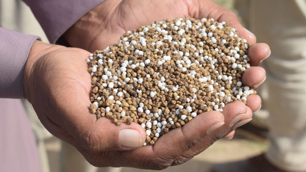 Mãos segurando grãos de fertilizantes NPK em tons de marrom e branco.