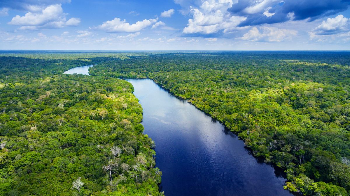 Vista aérea de um rio sinuoso cercado por densa floresta tropical sob céu azul com nuvens.