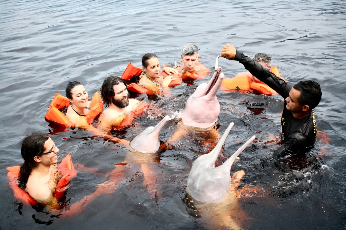 Turistas com coletes salva-vidas laranjas interagem com botos-cor-de-rosa na água enquanto um guia oferece alimento.