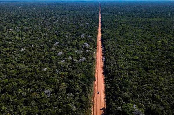 Rodovia BR-319 com trechos de asfalto e vegetação densa da Amazônia ao redor