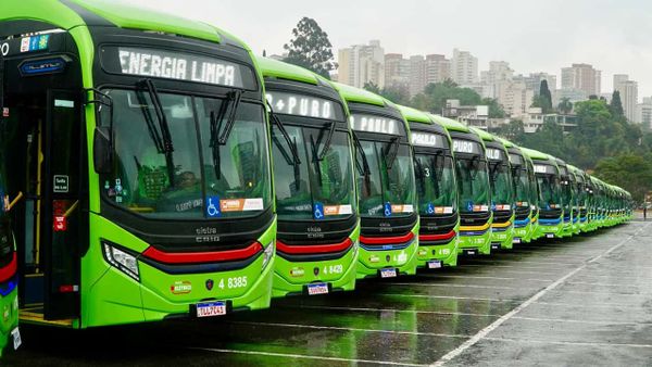 Ônibus elétrico da BYD em circulação, com design moderno e cores vibrantes, em ambiente urbano