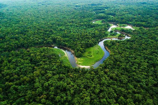 Vista aérea de um rio sinuoso cercado por densa floresta amazônica verde sob luz solar.