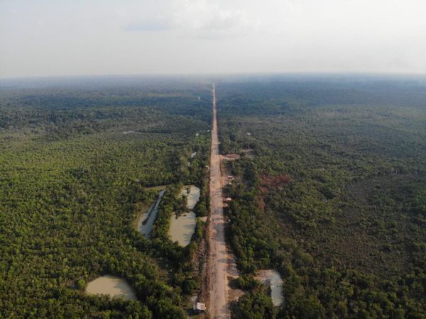Vista aérea da rodovia BR-319 cortando a floresta amazônica em linha reta, com trechos de terra e vegetação densa ao redor.