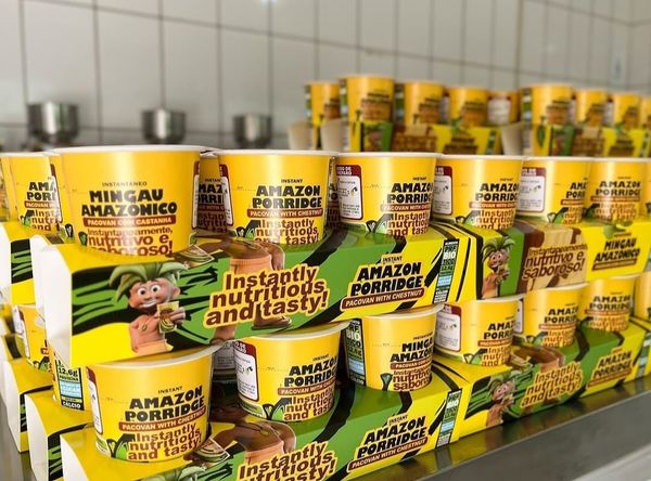 Banana de Manicoré entra no radar de foodtech de Manaus para produção de mingau instantâneo