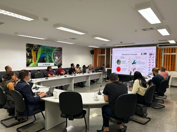 Pessoas sentadas em mesa semicircular assistem apresentação do INPI sobre descoberta e invenção na sede da Suframa.