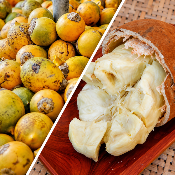 Montagem mostra frutos de tucumã inteiros à esquerda e um cupuaçu aberto com polpa branca à direita.