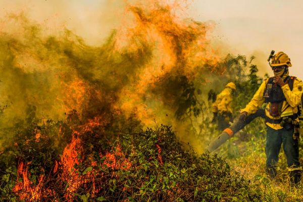 Brigadista em meio a fumaça e chamas utiliza equipamento soprador para combater incêndio florestal em vegetação rasteira.