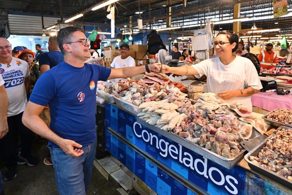 David Almeida cumprimenta feirante com um toque de punhos em banca de produtos congelados na feira Manaus Moderna.