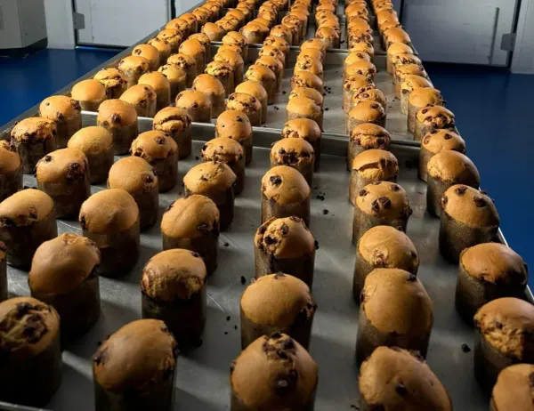 Fileiras de panetones em processo de fabricação sobre bandejas metálicas em ambiente industrial.