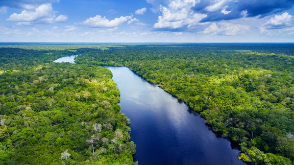 Vista aérea de um rio sinuoso cercado por densa floresta tropical sob céu azul com nuvens.