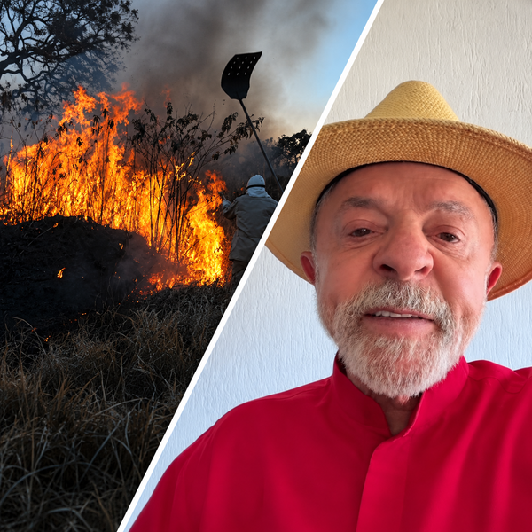 Montagem mostra chamas em vegetação com brigadista ao fundo e o presidente Lula usando chapéu de palha e camisa vermelha.
