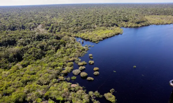 Vista aérea da Floresta Amazônica preservada às margens de um rio de águas escuras.