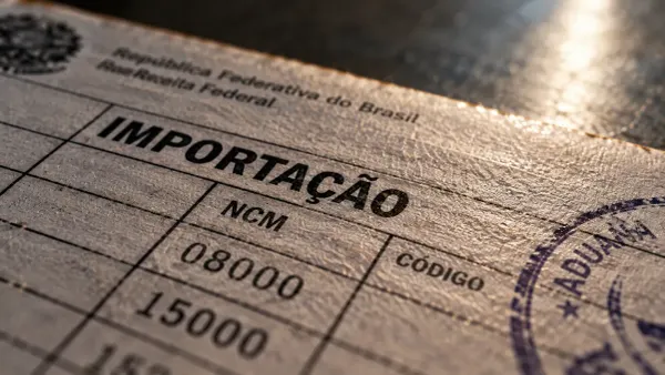 Documento impresso com a palavra IMPORTAÇÃO em destaque, carimbo aduaneiro e logo da Receita Federal.