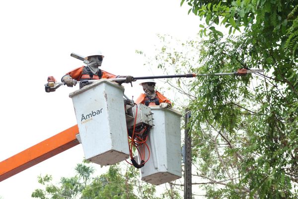 Dois técnicos da Âmbar Energia em cestos elevados realizam a poda de galhos de árvore próximos à rede elétrica.
