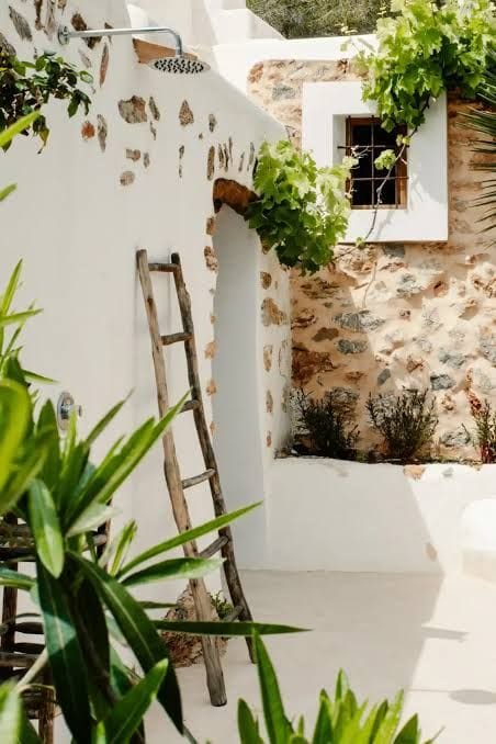 Sunlit white stone walls with climbing greenery