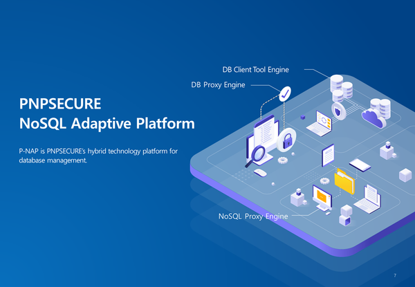 P-NAP: Future-Ready NoSQL Security Architecture