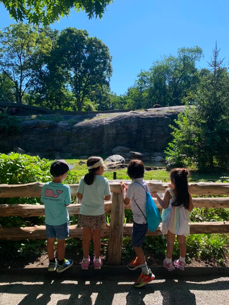 Bronx Zoo