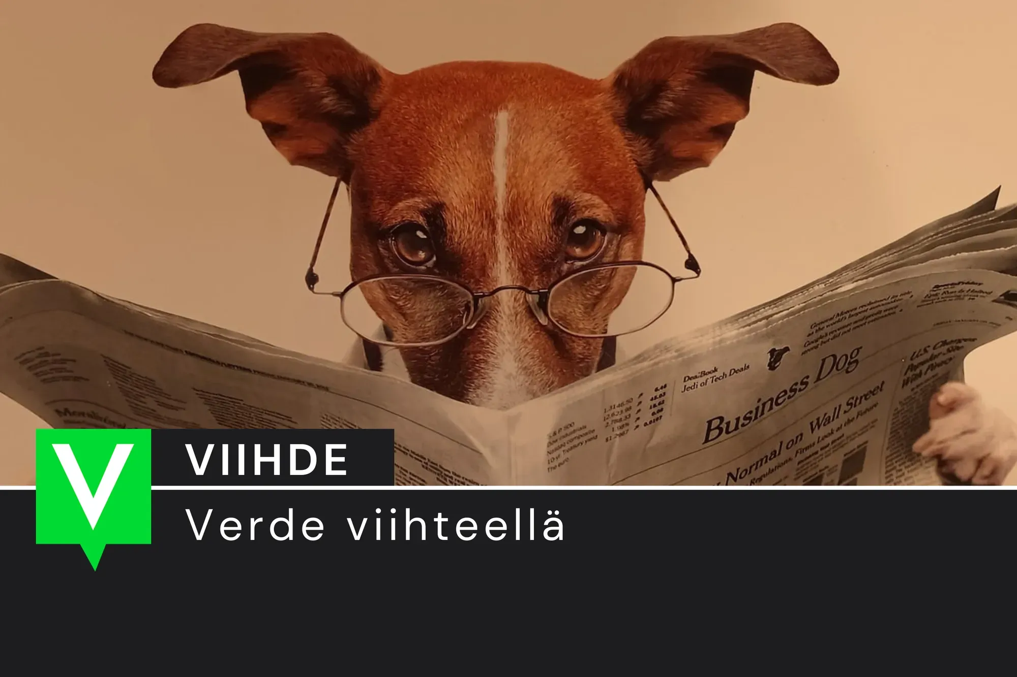 Puhkiselitetyt puujalkavitsit: Kierrätetyt neulaset