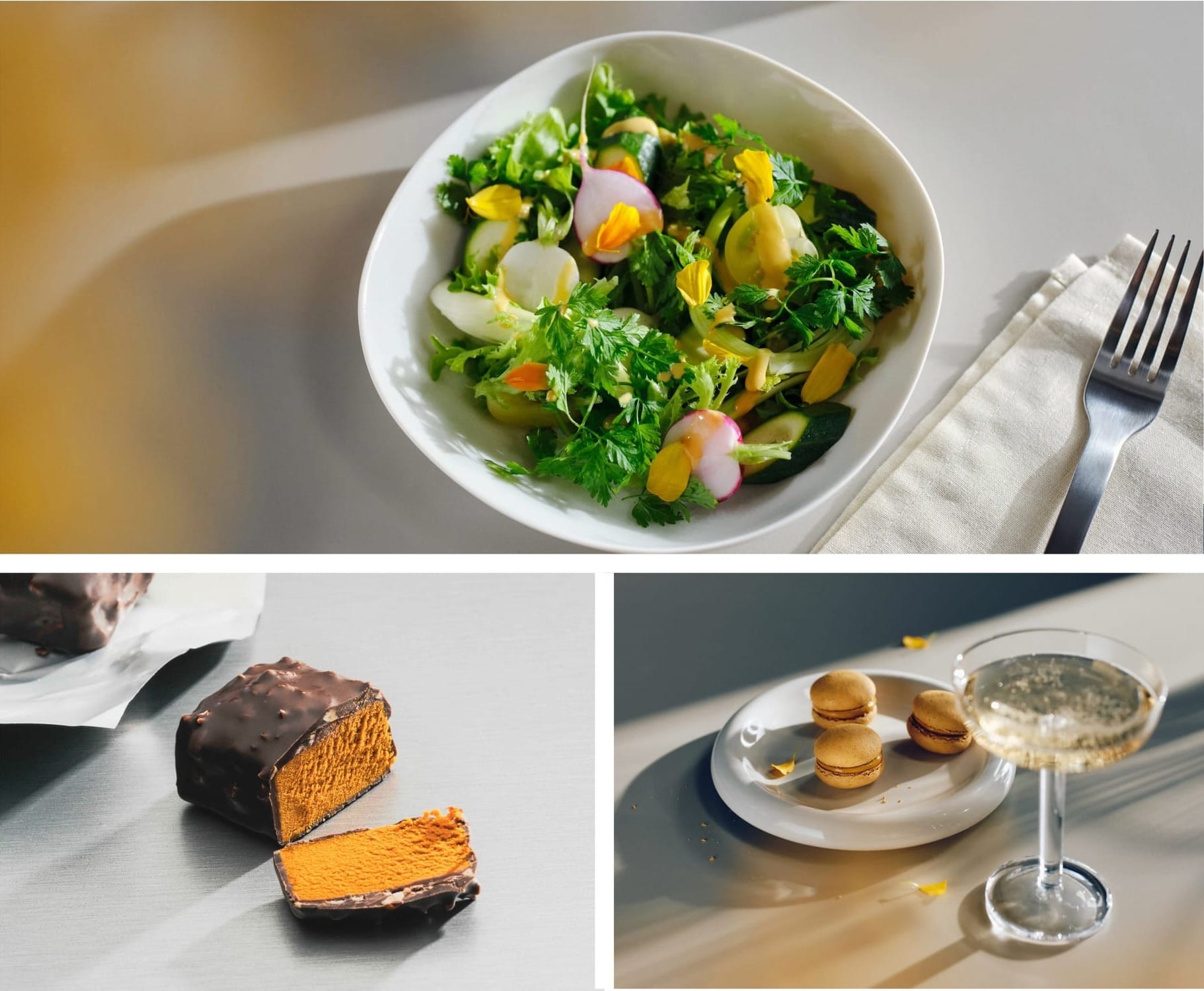 Solar Foods valmiina skaalaamaan Soleinin tuotannon satakertaisesti